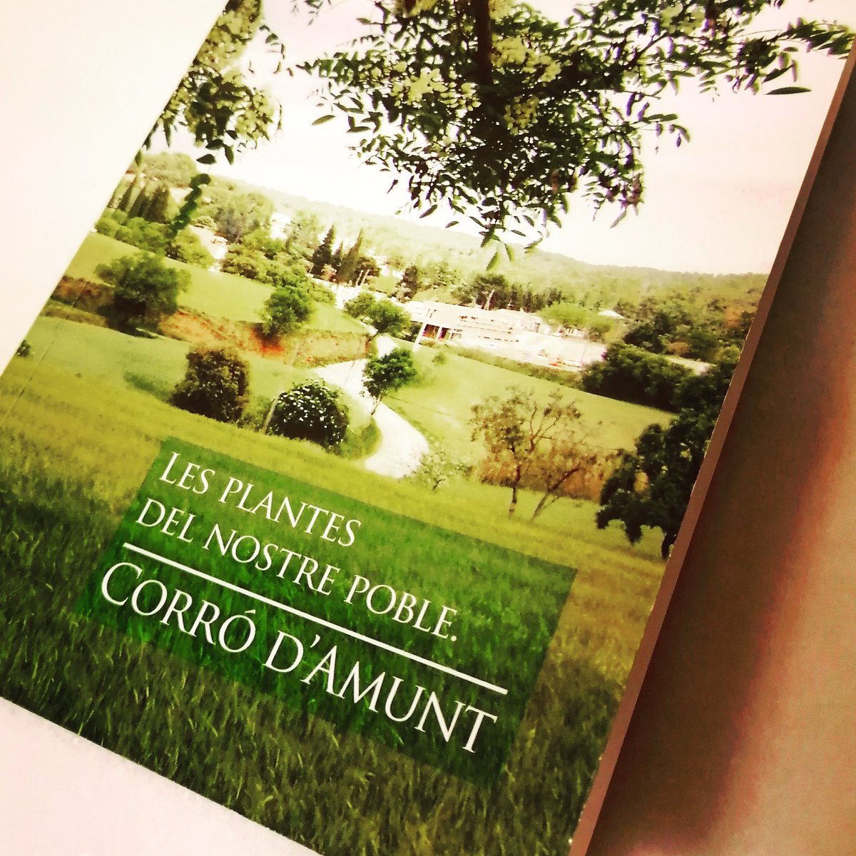 vallcarbonell's tweet photo. Ara que la primavera ja ha esclatat amb força i pertot floreix, recomanem tenir a mà aquest fantàstic llibre de les corronines Conxita Pericas i Glòria Puig. Una completa guia de la flora que omple de vida els nostres verals #valldelcarbonell https://t.co/AvV6CGndTk