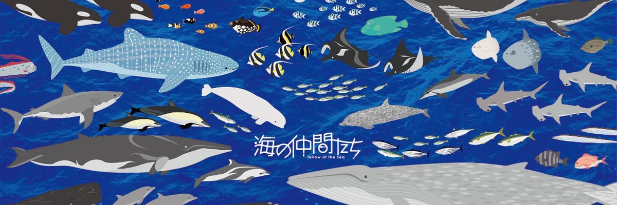 ট ইট র 海の仲間たち 公式 壁紙にどうぞ 壁紙にどうぞ Diver Stayhome イラスト好きな人と繋がりたい 海の生き物 おうちじかん 海洋生物 サカナクション 暇なのか忙しいのかわからない