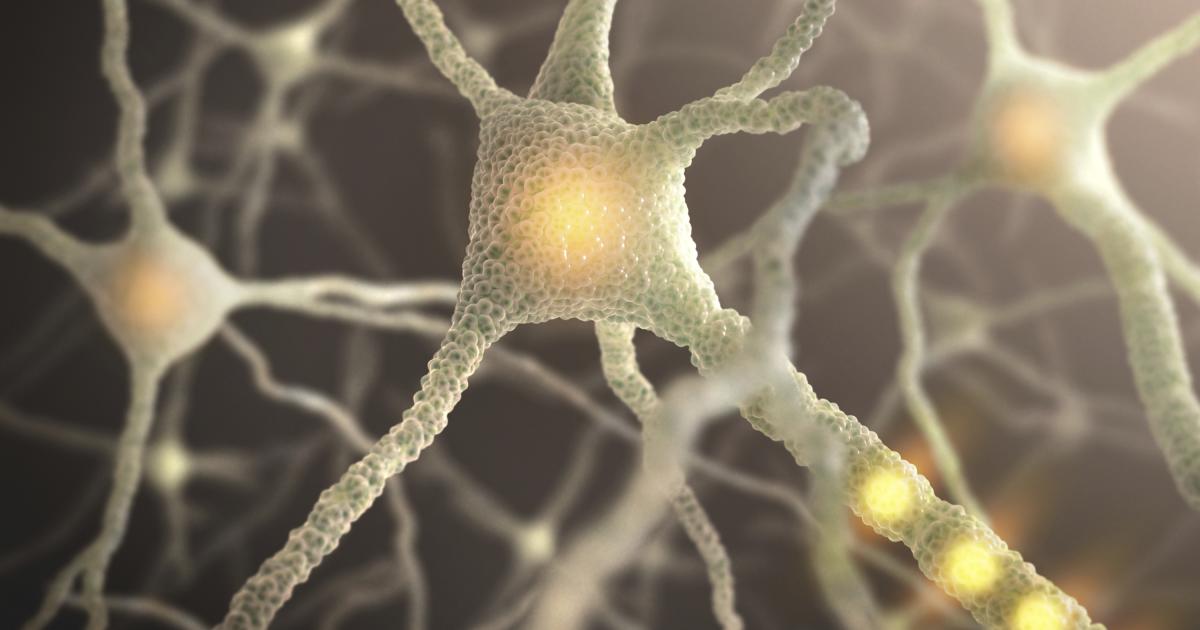 AIMelbourne1's tweet photo. A new study from the University of Melbourne tracks the neural patterns that allow us to change our minds. Understanding this could open up the possibility of more advanced #artificialintelligence.
https://t.co/BS4f7ZEDGu  
#aimelbourne #ai #machinelearning #deeplearning #bigdata https://t.co/HOBb9O268a