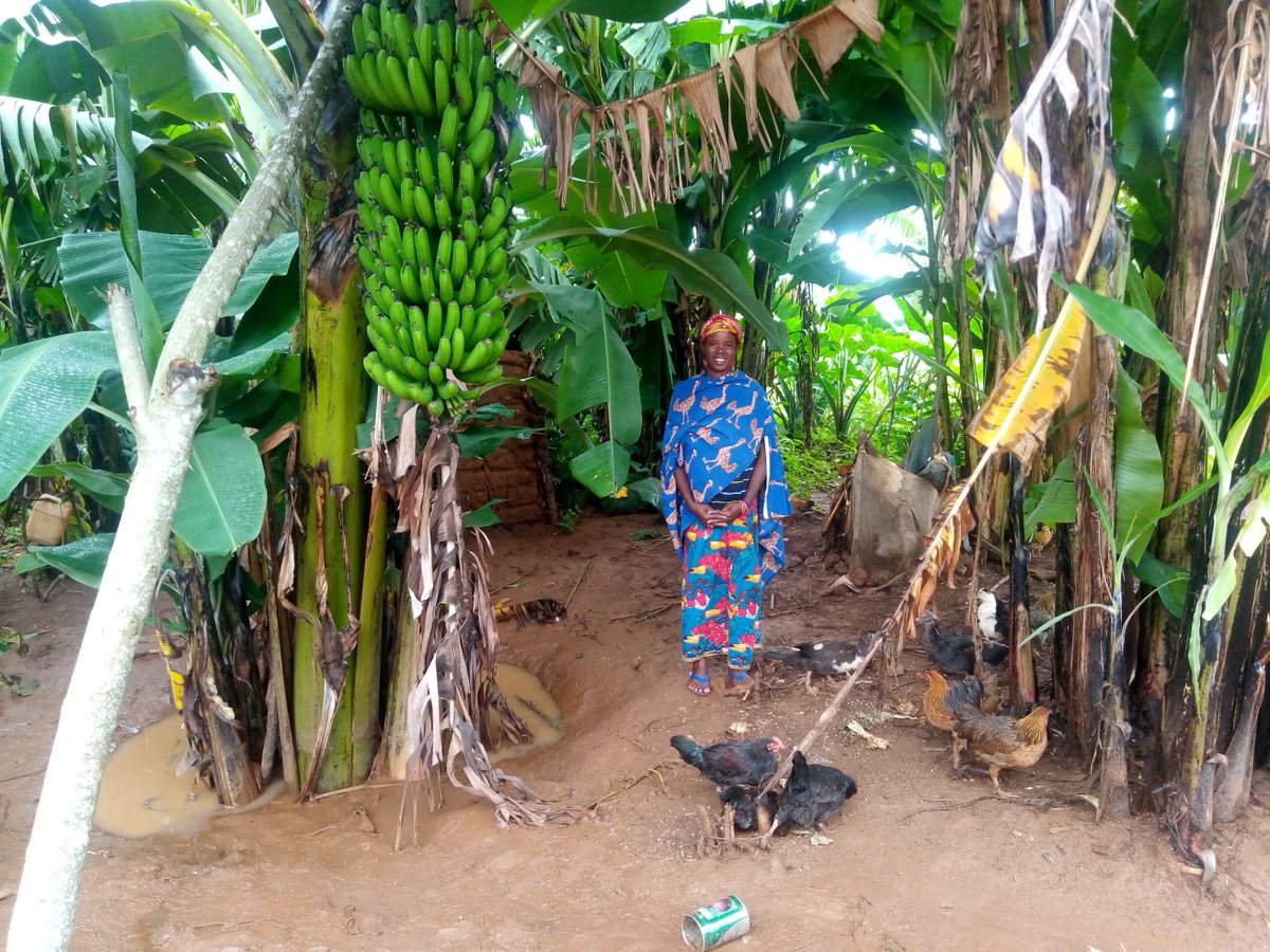 BurundiEco's tweet photo. #Burundi Elle reçoit un montant de 40 000 FBu tous les deux mois. Depuis cette période, elle indique que les conditions de vie de sa famille se sont améliorées. @Banquemondiale https://t.co/GWXIuUxBX0