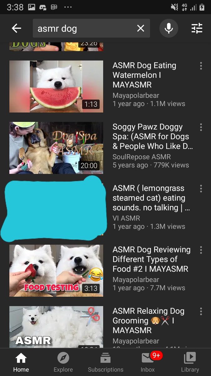 katlilart's tweet photo. Uh @YouTube  why is there a video of someone eating a steamed cat on yoir platform???? https://t.co/egQwqNvXWJ