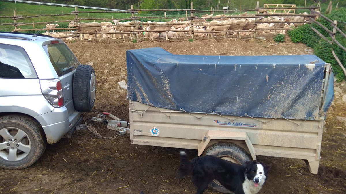 Aleeee. En marxa!
- xai de ramat de muntanya
- escorxador de la vall
- comerç de proximitat
- directe al consumidor
Passa't a la resistència!
Servei de missatgeria per tot Catalunya! 665650749
Som l'alternativa a la màfia agroalimentària! 🤘🤘
Construïm futur per les muntanyes.