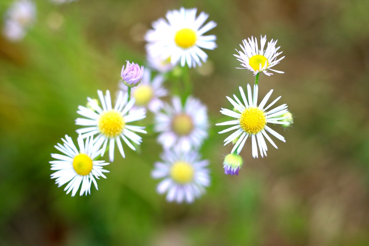 twittenhiro's tweet image. [ＡＢＣテレビ(Ch.6)]-相棒　season4　#1SP[再][字]202005041588572139