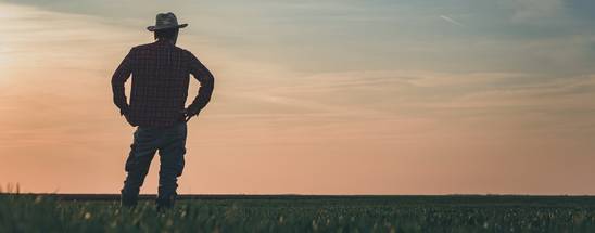 COMPOEXPERT_es's tweet photo. 🆙🆙 ¡Vuelve la #newsletter para expertos de COMPO EXPERT! 🌍
@PanosChamakioti analiza la situación, presente y futura, de la cadena agroalimentaria con el escenario del COVID-19 💧🌱
▶ https://t.co/Op8793wy7W
🥒🥒 Además, nuevos #EXPERTtips y #DistribuidoresEXPERTos 😉 https://t.co/UpFNqvv5rO