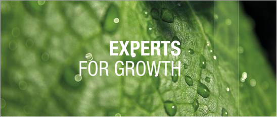 COMPOEXPERT_es's tweet photo. 🆙🆙 ¡Vuelve la #newsletter para expertos de COMPO EXPERT! 🌍
@PanosChamakioti analiza la situación, presente y futura, de la cadena agroalimentaria con el escenario del COVID-19 💧🌱
▶ https://t.co/Op8793wy7W
🥒🥒 Además, nuevos #EXPERTtips y #DistribuidoresEXPERTos 😉 https://t.co/UpFNqvv5rO