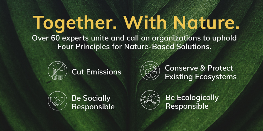 JavierGPGamarra's tweet photo. Intending to do a global call, with some of our environmental leaders. 4 principles for #NatureBasedSolutions , #TogetherWithNature #4Principles4NBS. Check some of the signatories! https://t.co/3wjswSZgdr https://t.co/5WayjN7SwN