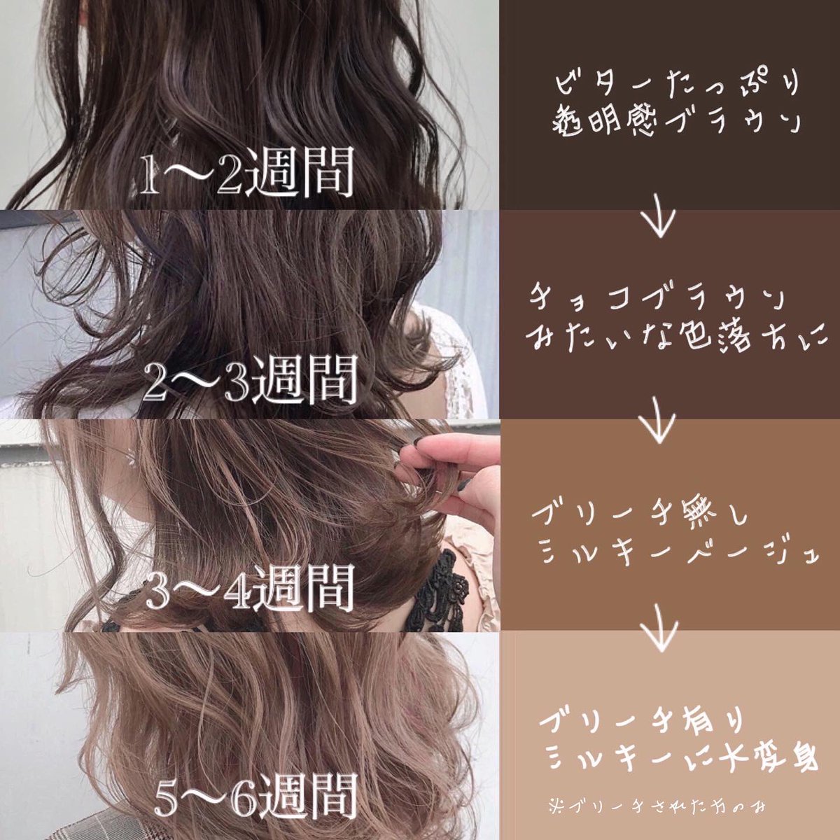 家谷 誉央 一目で分かる色落ちヘアカラー ヘアカラー 色落ち 家谷 誉央 一目で分かる色落ちヘアカラー ヘアカラー 色落ち