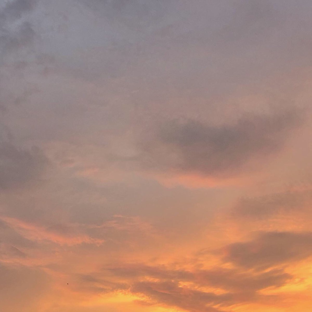 imyourwanderer's tweet photo. it’s so limitless ☁️ https://t.co/OdvnKS2bGC