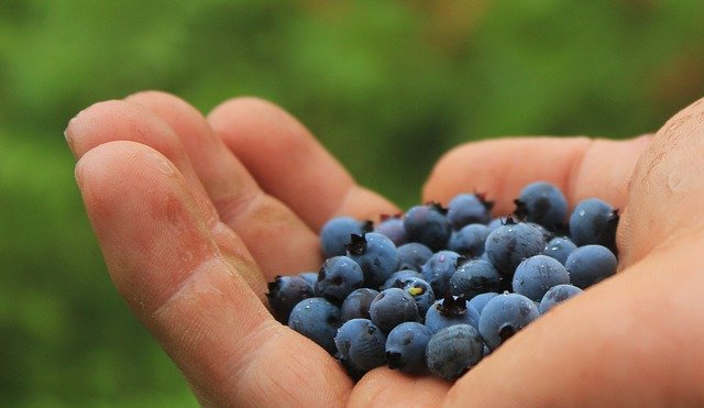 scotruralnet's tweet photo. Science and Advice for Scottish Agriculture (@ScotGovSASA) has issued guidance for workers in the Horticulture and Fruit and Vegetable industry on safe working practices to reduce the spread of COVID-19.

Read the guidance in full here: https://t.co/lssHyhulqv

@RuralMattersSG https://t.co/5Jz5BsK1IP