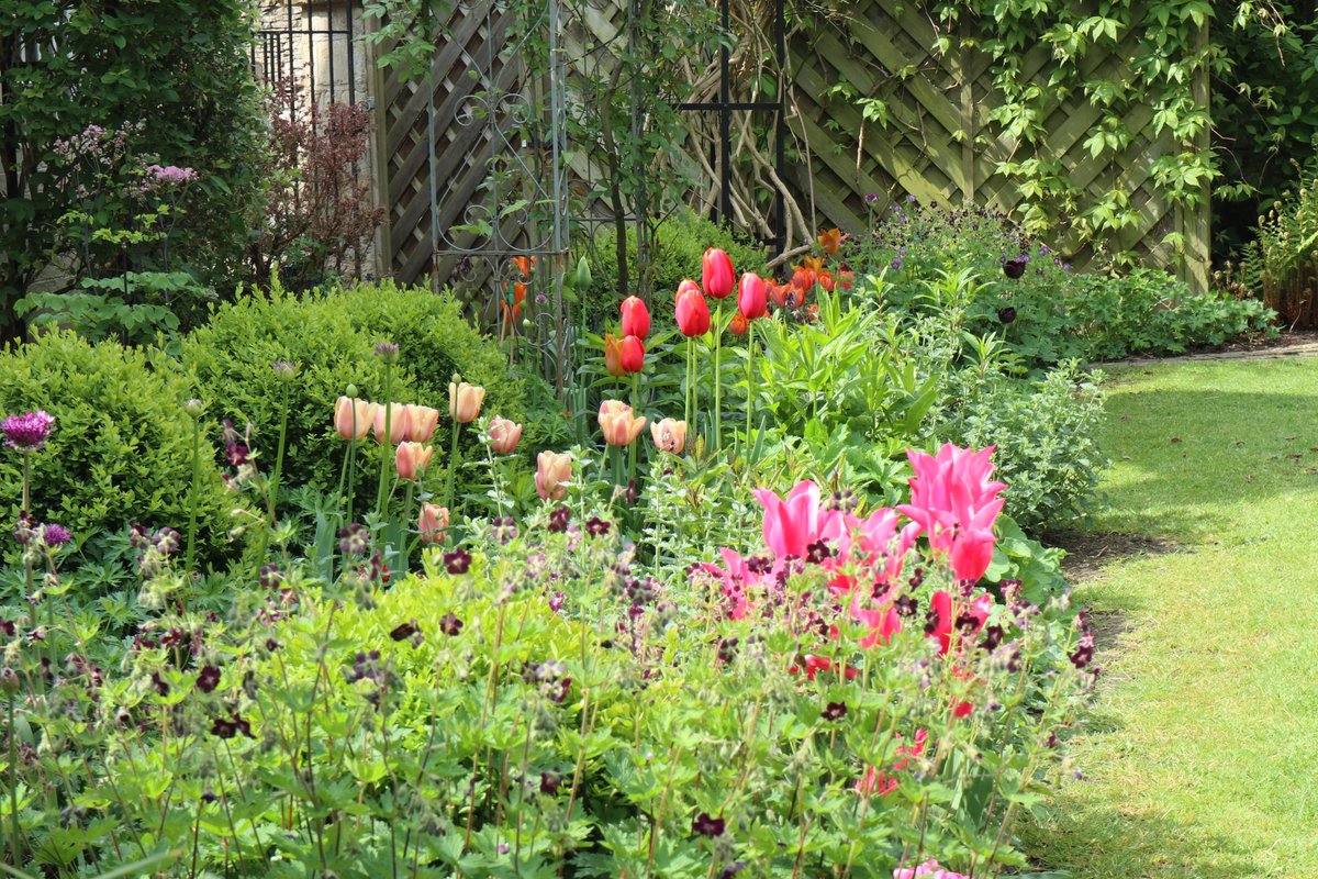 The Gate garden is bursting with colour and longing for visitors to raise money for the nursing charities supported by the National Garden Scheme. Do contribute if you can on: justgiving.com/fundraising/gl…
#chattygardener; #NGSOpenGardens; #Glosngs