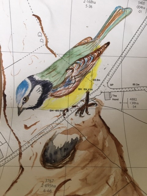 WigmoreAcademy's tweet photo. I have been busy painting the birds in my garden. Can you send in your art work please? Mrs Paton #wigmoreprimary #oakclass #keepcraftingandcarryon https://t.co/WvGTEJstQR