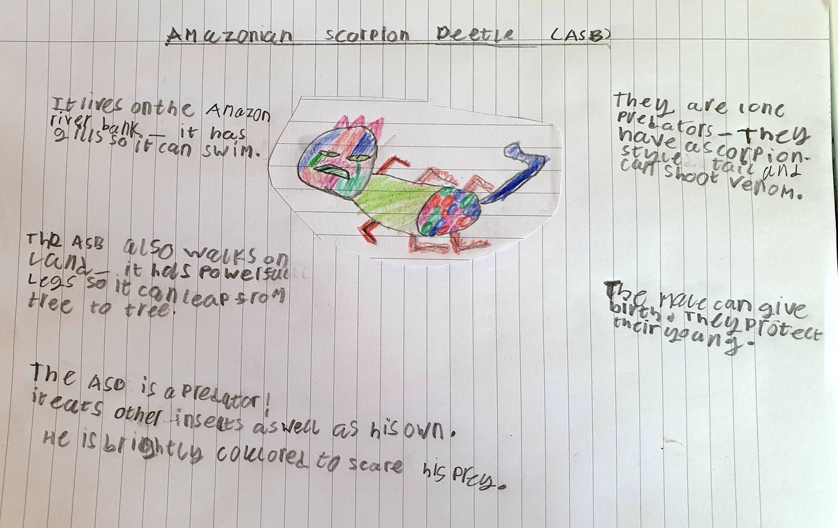 SmithWatchman's tweet photo. Our Week 4 #ForestFixChallenge: "create a new insect"! Meet my 8 year old's Amazonian Scoprion Beetle!! ๐ฆ๐๐ฆ๐ฆ๐๐ Great fun - thank you @ForestryEngland for the homeschooling ideas ๐ https://t.co/pLjRumHO6O