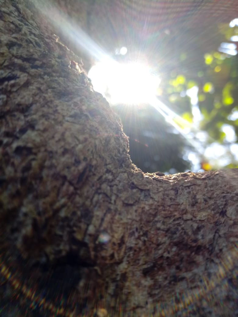 Mandinhapiletti's tweet image. 😍📷