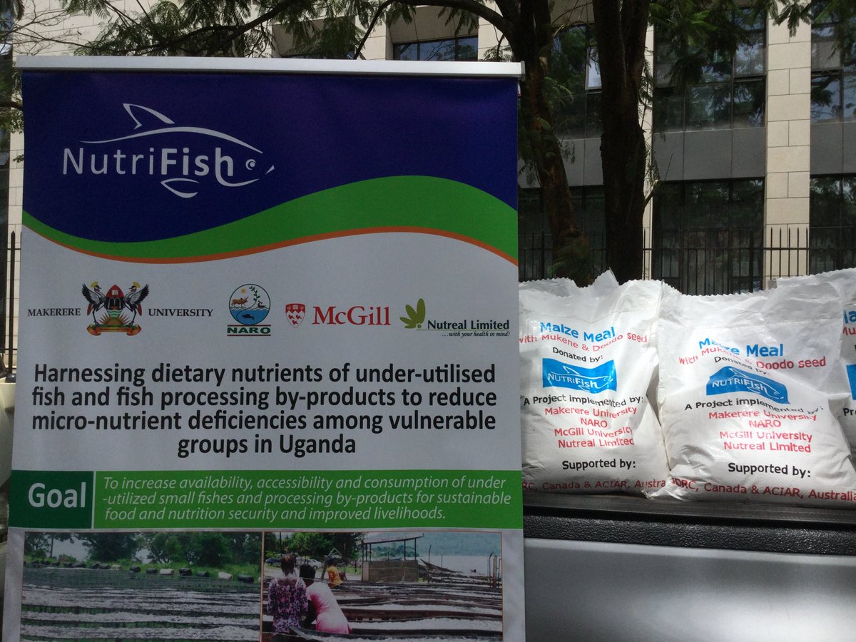 Jefitre1's tweet photo. #NutriFish #cultiAF team presenting fish-and amaranth-enriched maize meal to the Hon. Minister for General duties, Office of the Prime Minister, covid-19 malnutrition intervention among women & children during Covid-19. @IDRC_ESARO @ACIARAfrica @MakCoNAS @nafirri @NutrealLimited https://t.co/vCNwvXRb8o