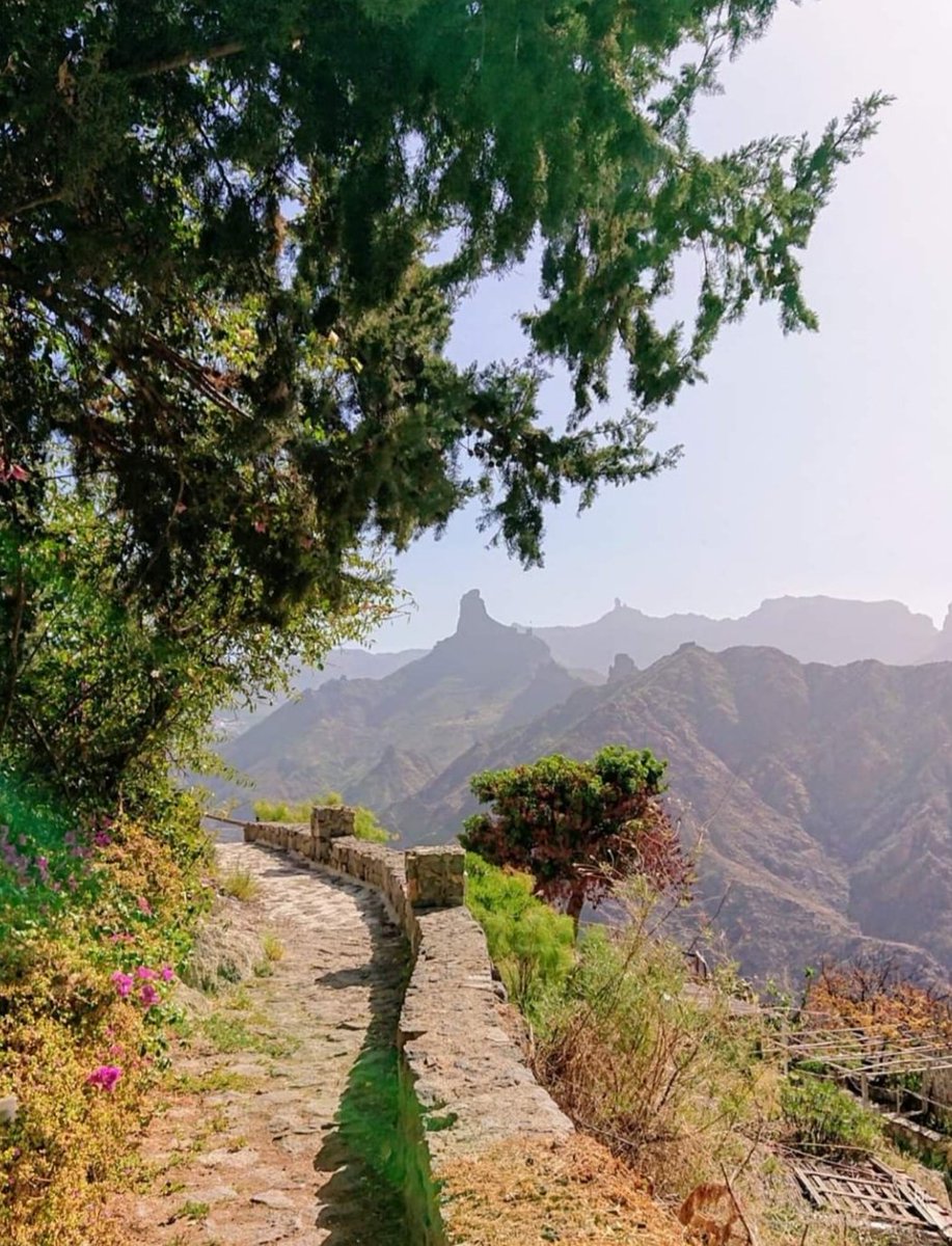 Ven a vivir la experiencia de Acusa Seca. Te estamos esperando ¡¡
@casacuevaelsilencio
#acusaseca
#covidfree
#destinostarlight
#reservadelabiosfera
#climaticparadise
#thebestclimateintheworld
#silencecave
#caveingrancanaria
#caveinartenara
#grancanaria
#theislandofeternalspring