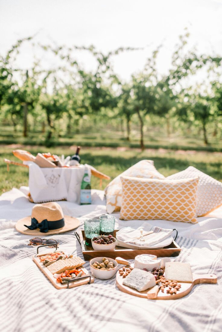 The picnic... but not that bland shit, my middle name is extra so i keeps it extra. My middle name isn& #39;t Mr Make it Rain so everything is budget friendly and DIY.