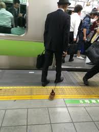 ビーバーの子どもとタワシがそっくり だからってタワシは可愛がられない 話題の画像プラス ビーバーの子どもとタワシがそっくり だからってタワシは可愛がられない 話題の画像プラス