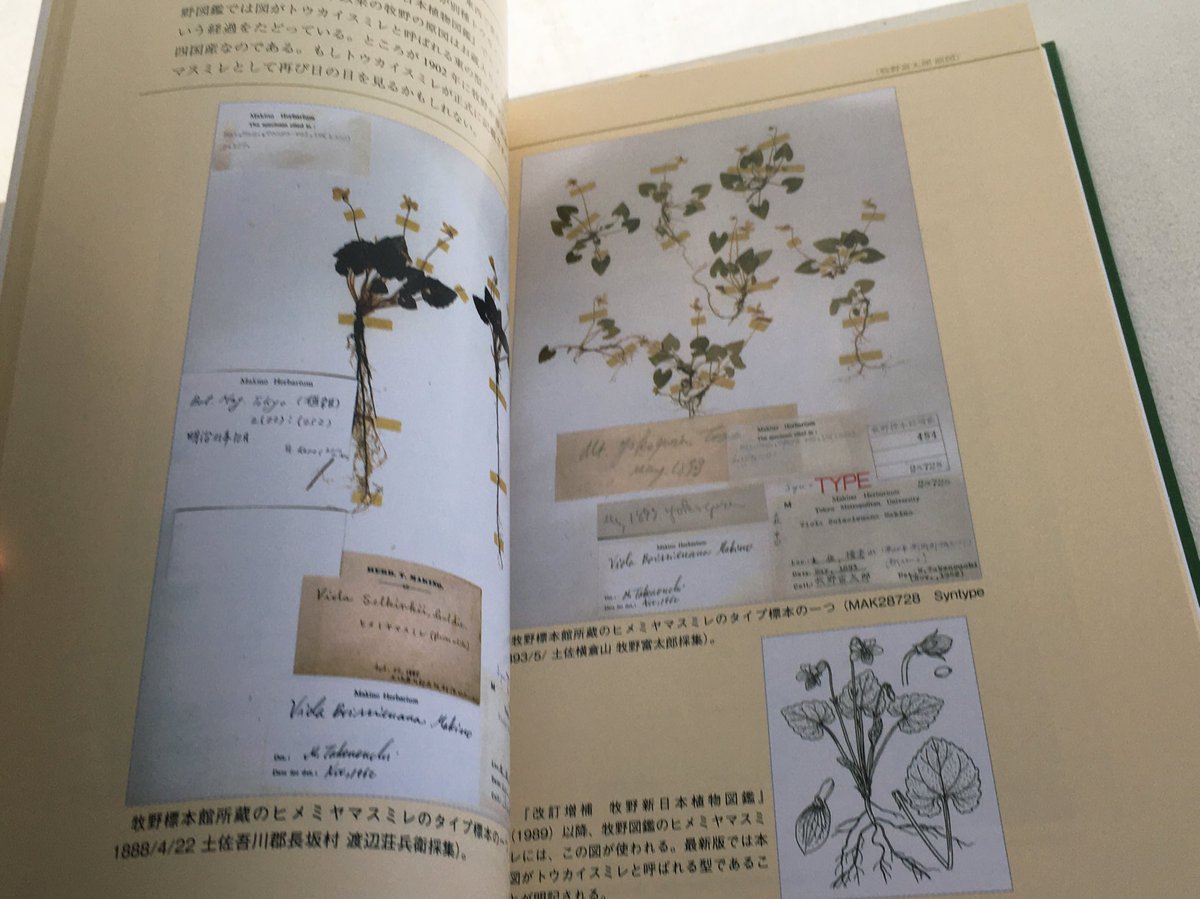 原色 野外植物圖譜-上巻 牧野 富太郎 著 昭和17年3版 検印有