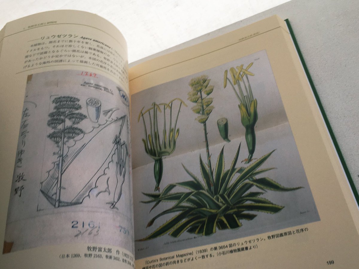 牧野植物図鑑原図集～牧野図鑑の成立～』 北隆館創業130年記念出版