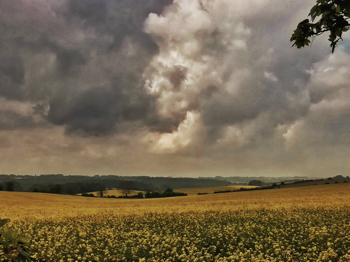 thatfatbloke's tweet image. This is my lunchtime view today. A trifle spooky, not gonna lie 😂