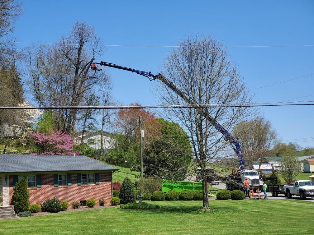Congratulations to Wes from Advanced Land Management in Virginia on his purchase of the BIK Tree-Care Series TC-170 Grapple Saw Boom Truck! We at BIK wish you much success!