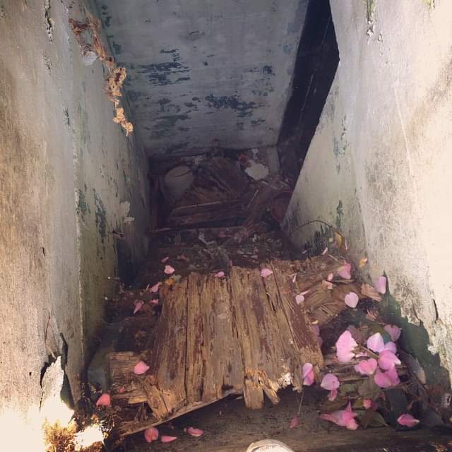 katie_p25's tweet photo. We have taken today's learning to the top of the air raid shelter! Oliver has enjoyed learning about VE day and how this might have been used. We are lucky to have this piece of history in our garden... I think it's due a tidy though 😂 #VEDay @newbarns1 https://t.co/wfommOGqay