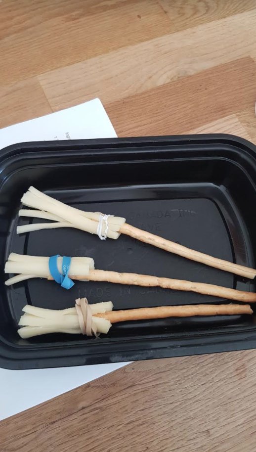 What a joy it's been to finish our week of  #MGM learning <a href="/montcrest/">Montcrest School</a> with our Fri. aft. virtual Harry Potter book club! All book clubs need snacks - check out our Quidditch brooms! #relationshipsmatter #CoCurricularsConnectUs