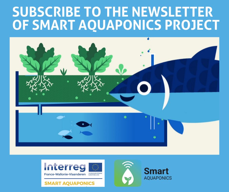 You are interested in research on #urbanagriculture and #aquaponicsystems?🐟Follow the progress of our 3 digital applications, studies, news and events in Belgium and France by subscribing to our newsletter here :
👉 eepurl.com/goipir 👈