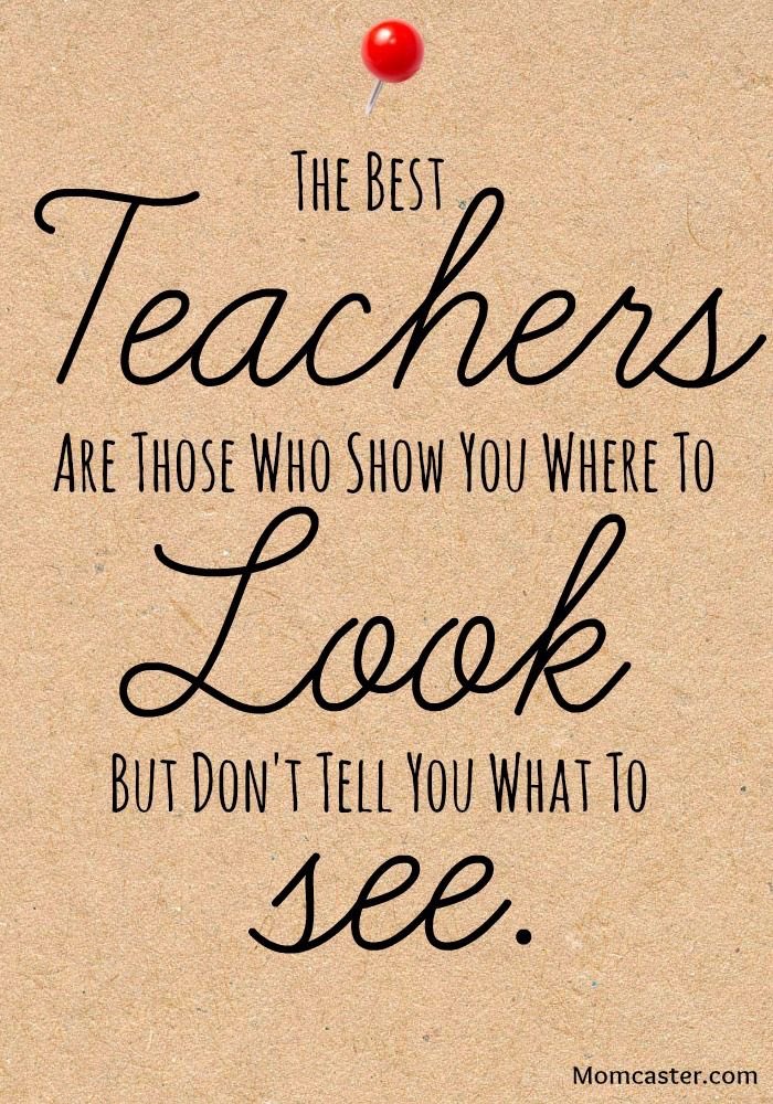 amalbonvb's tweet image. Happy Teacher Appreciation week to some of my favorite people on the planet! ❤️ I hope you have a great week! #VBAlwaysLearning #LoveEducators