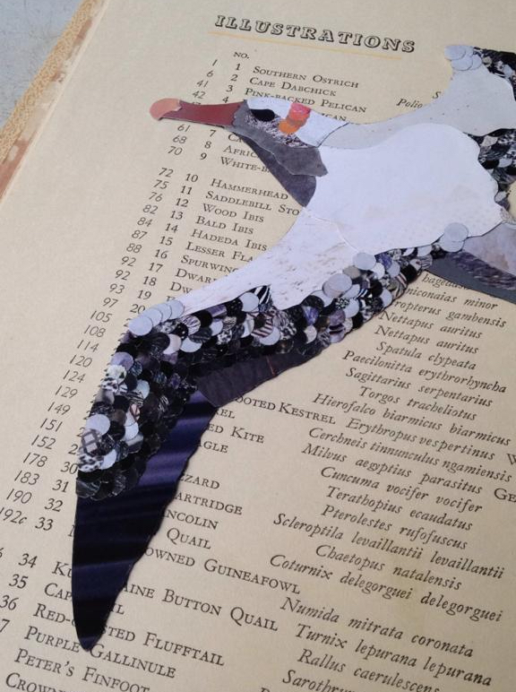 _wingsandwaves_'s tweet photo. 4️⃣ #WSTC6 #ArtSesh1 Using #sciart to inspire understanding…like collages, all aspects come together in a magnificent bird, worthy of admiration &amp; protection. 💪😻
#Conservation issues also a mosaic of components, that take varied, interlinking pieces of the puzzle to solve! 🤔🧩 https://t.co/U9KntHA4ab