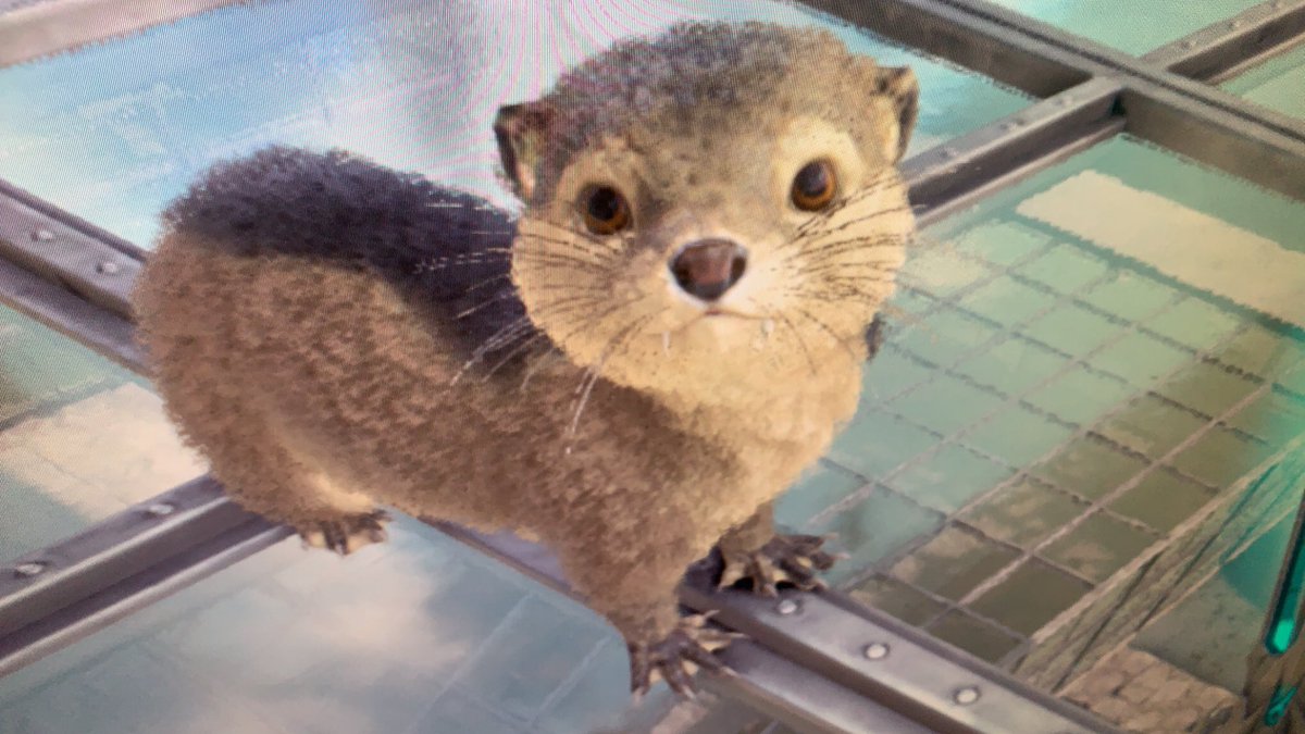 ちぇすた Vayu T Twitter