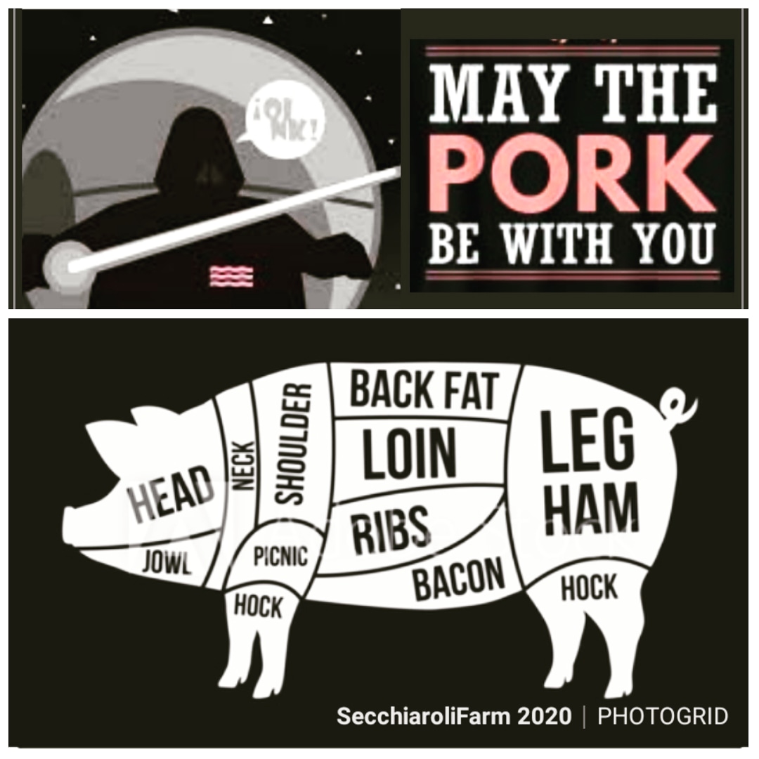 SecchiaroliFarm's tweet photo. Happy May 4th to all Star Wars fans out there.  And may the pork be with you,  in whatever cut makes you happy!  🐖
#secchiarolifarm #starwarsfan #starwars #maythe4thbewithyou #maytheforthbewithyou #maytheporkbewithyou #getporked #porkmakeseverythingbetter https://t.co/f2X1yItSZT