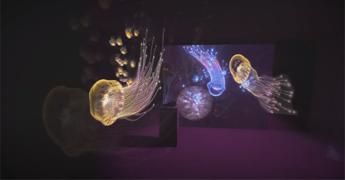 Pays de la Loire tweet media