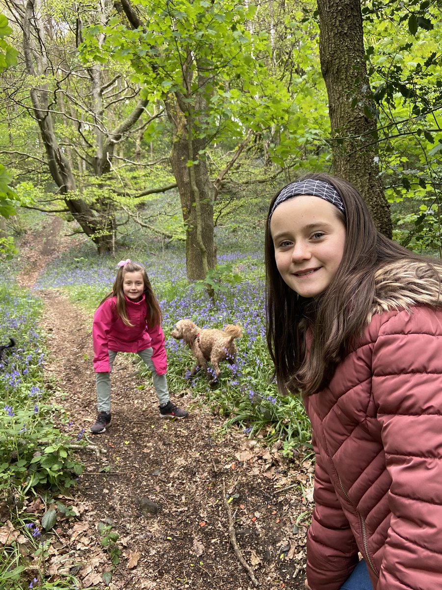 shinydiscoball2's tweet photo. @FountainPSLeeds Frankie and Georgia having fun exploring new woodlands nearby, that we never knew existed! https://t.co/f19JGNzIyC