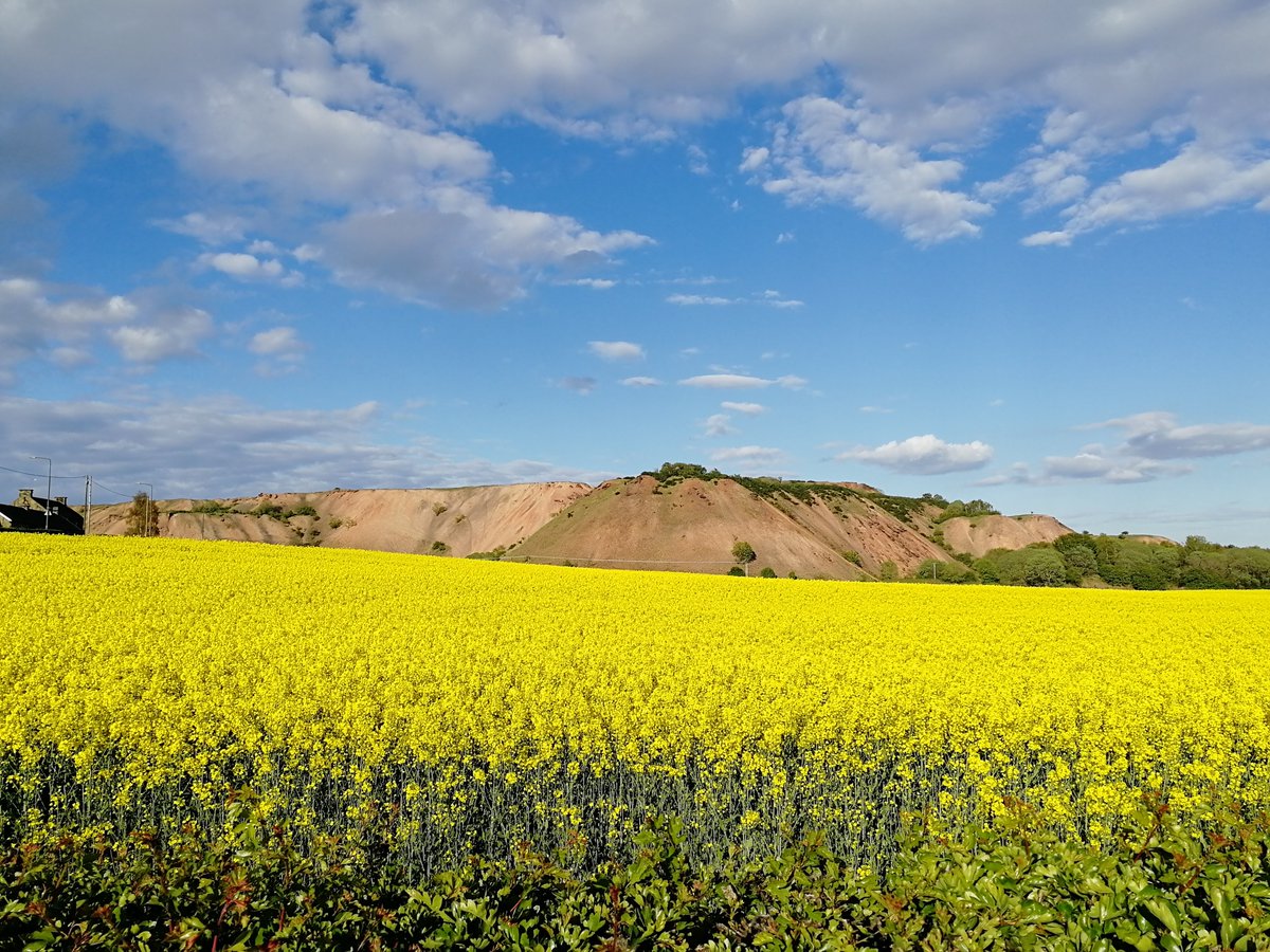 Just needs red and indigo to complete the rainbow 🌈 #westlothian