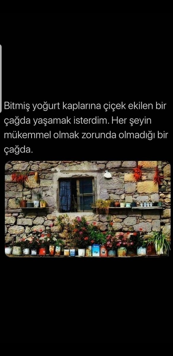sengoz_sultan's tweet photo. https://t.co/xSLbNx3k5z