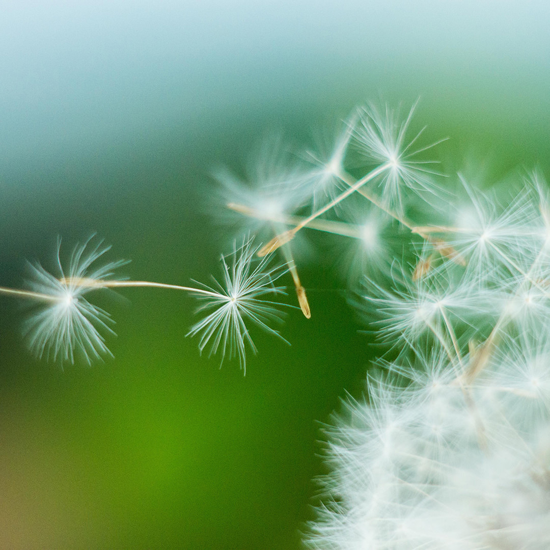 BakerWilcox tweet media