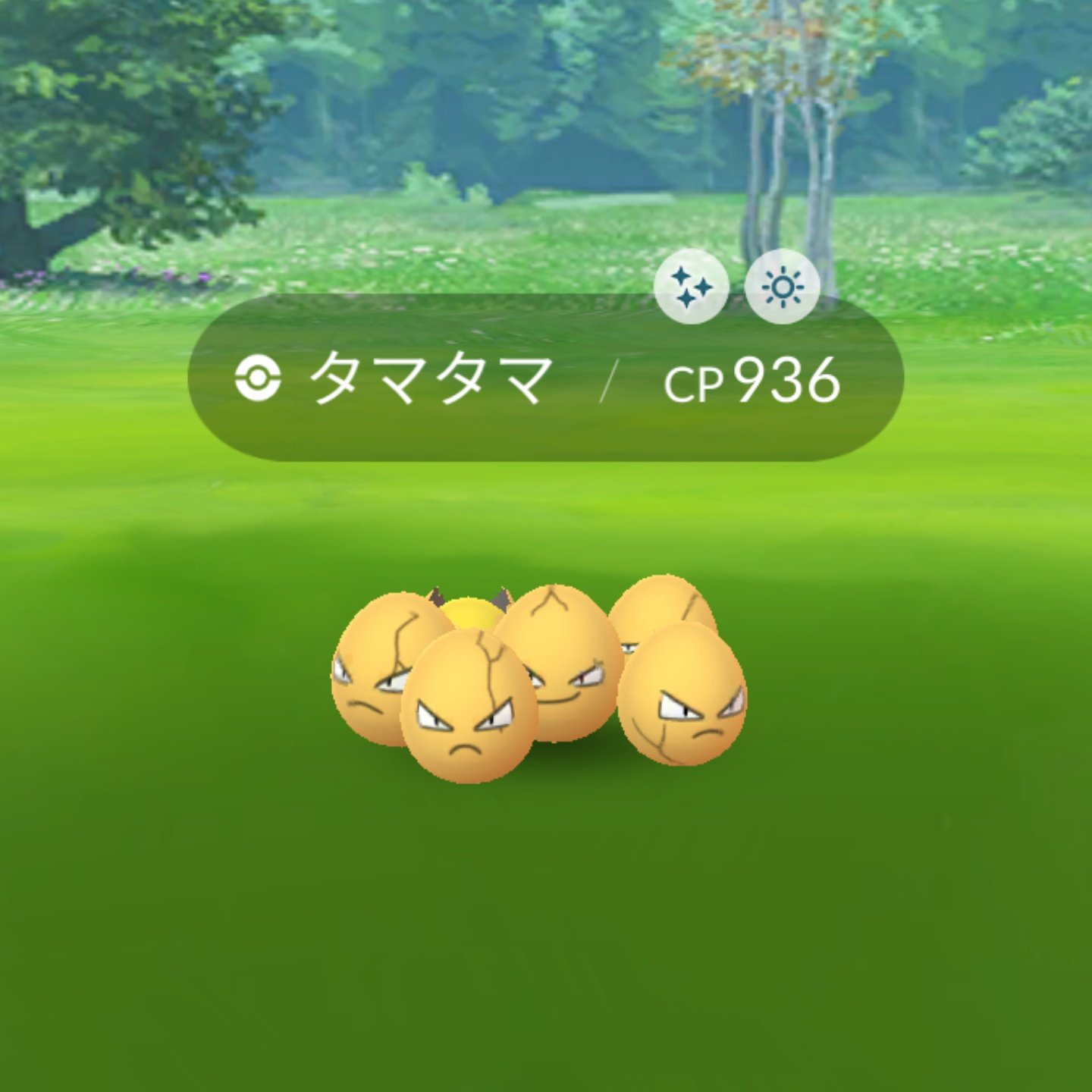 Seiji きたくぶ 金のタマタマ ｷﾀ ﾟ ﾟ 普通に うわっ って声出たわ ポケモンgo タマタマ T Co Jotlfixj5x Twitter