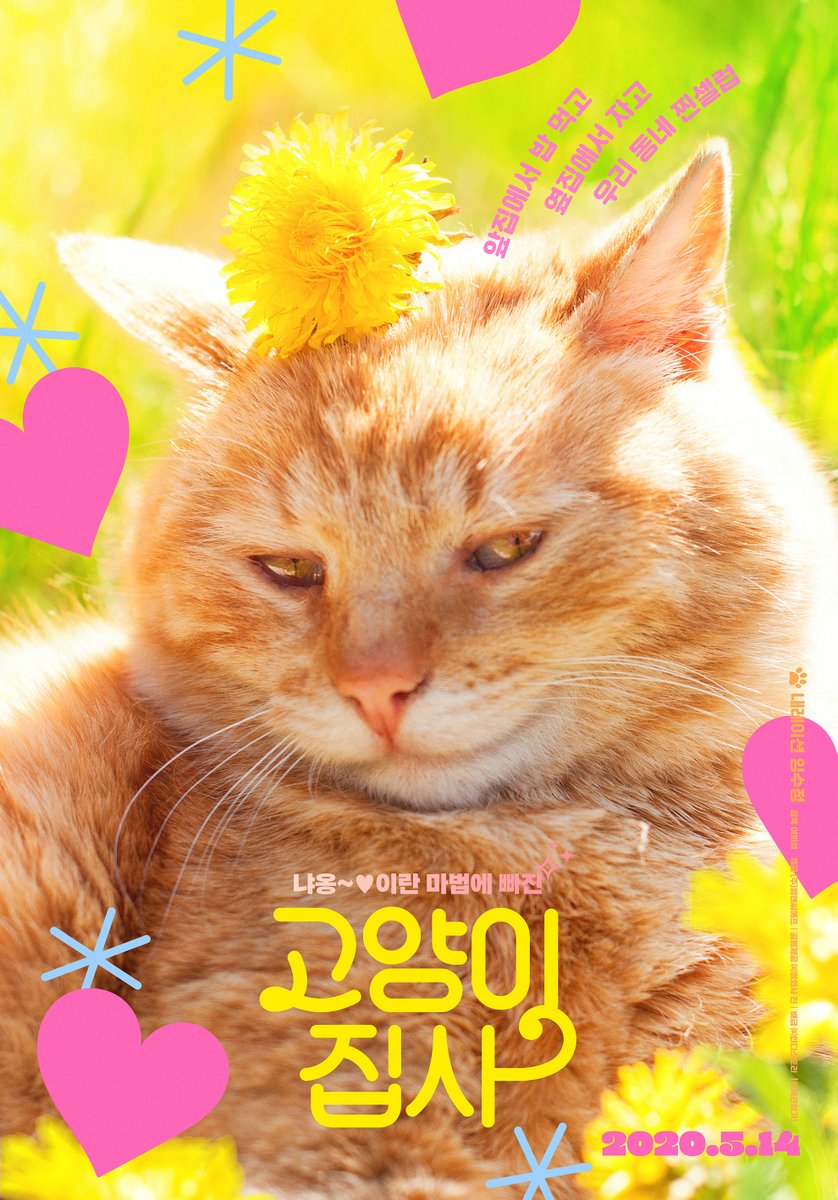 ⭐️접속! 무비월드' 금주 이벤트 고지 ⭐️ *<고양이 집사> 예매권 * <레이니 데이 인 뉴욕> 예매권 리트윗 후 신청하러 가기 http://tv.sbs.co.kr/movieworld/...