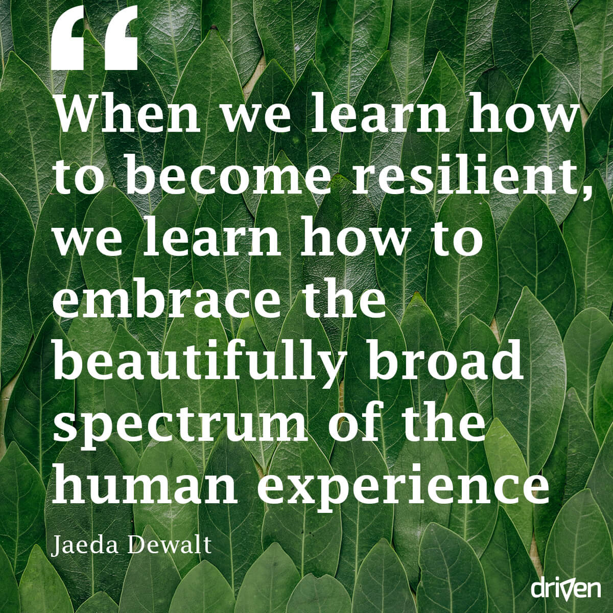 opretholde Doven Skal Girl about the Globe on Twitter: "Motivating Monday "When we learn how to  become resilient we learn to embrace the beautifully broad spectrum of the  human experience" - Jaeda Dewalt. Great quote