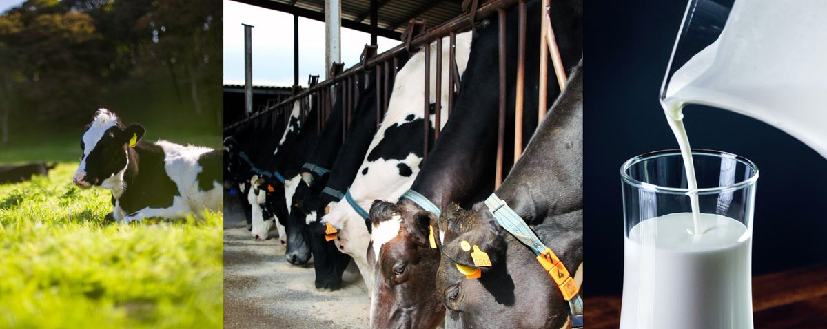 Coneixes #SOMOSLALECHE? Iniciativa de la Granja Can Roger de #Cardedeu i de <a href="/RobinGoodSelect/">RobinGood</a> que vol salvar L🥛de #lletecològica que no es comercialitzin pel #COVID19 + per causes estacionals. Salvem un producte de primera necessitat i ajudem el sector! 👉bit.ly/2Wqd7h8