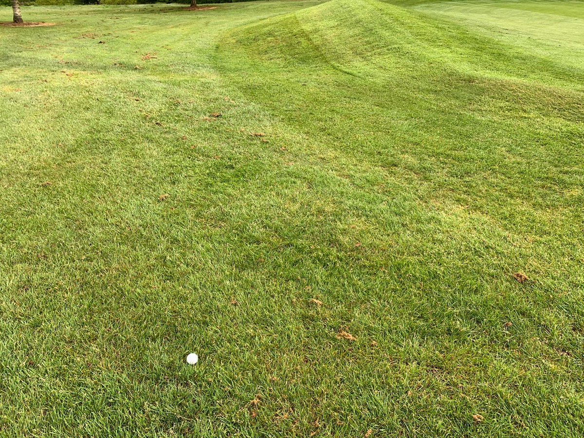 TivertonGC's tweet photo. 🟢 What hole am I playing? 🟢

Tee shot - Aimed up the left, you don’t want to go right.... in the trees 😌🙈

2nd shot - Chipped out near the 150 marker 🙌 

3rd shot - 8 iron slightly pulled left, I’m now pin high... 

What hole am I on? 

Answer revealed at 5pm ⛳️

#TeamTiv https://t.co/ewQqFsAIPM