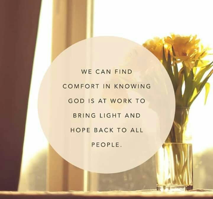 adriquodon's tweet image. 