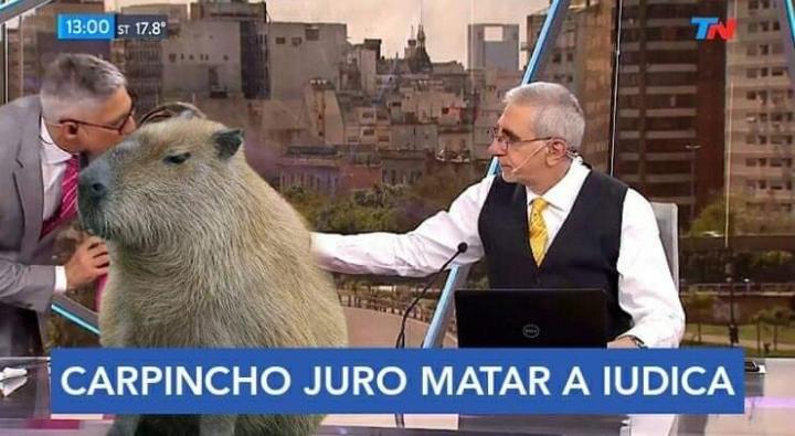 Mercvry_moon's tweet photo. @Pedrito_Vm amén https://t.co/ZmB7I9mWqL