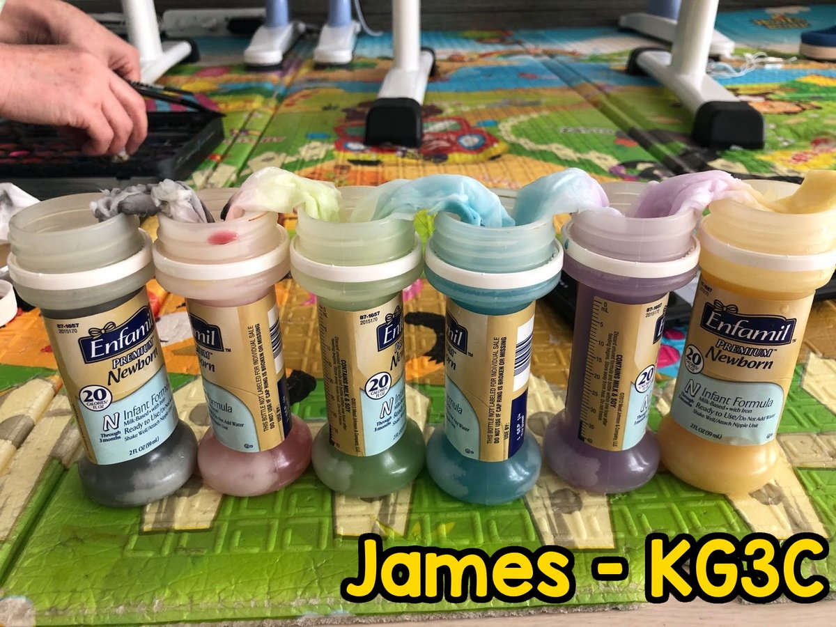 SIBSBeijing's tweet photo. KG3 students did a fun and interesting activity called The Traveling Water! There's no better way for little scientists to learn about color mixing and movement than by watching water “travel” from cup to another.  #internationlschool #science #color #SIBSBeijing https://t.co/MTpUcDmVY8