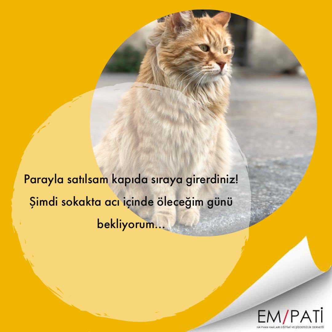 empati_official's tweet photo. Onlara yardım eden başka biri olur diye düşünme, belki de o sizsiniz! FARKINDAYSAK HAYATTALAR‼️ #empatidernegi #satınalmasahiplen #birkap #birkapsubirkapmama https://t.co/V4XSc1nPJJ