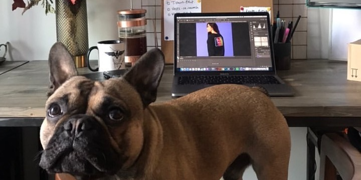 LiveTheModaLife's tweet photo. #WorkFromHome set up at Moda, Angel Gardens... High-speed internet ✔️ Natural light ✔️  Peace &amp; quiet ✔️ Walking distance to the fridge ✔️ Furry friend ✔️ #LiveTheModaLife #AngelGardensMCR #Renting #WFH #MondayMotivation #ModaCommunity #Manchester #DogLife #PetFriendly #Doggo https://t.co/X6uGtoyEhe