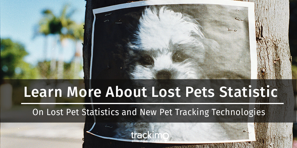 The number of lost pets is rising every year. If you want to know the exact digits, here's a new study that shows the percentage of pets that get lost from their homes, of those that were recovered, and ways on how to find a missing pet: bit.ly/2z91G5q #gpstracking #iot