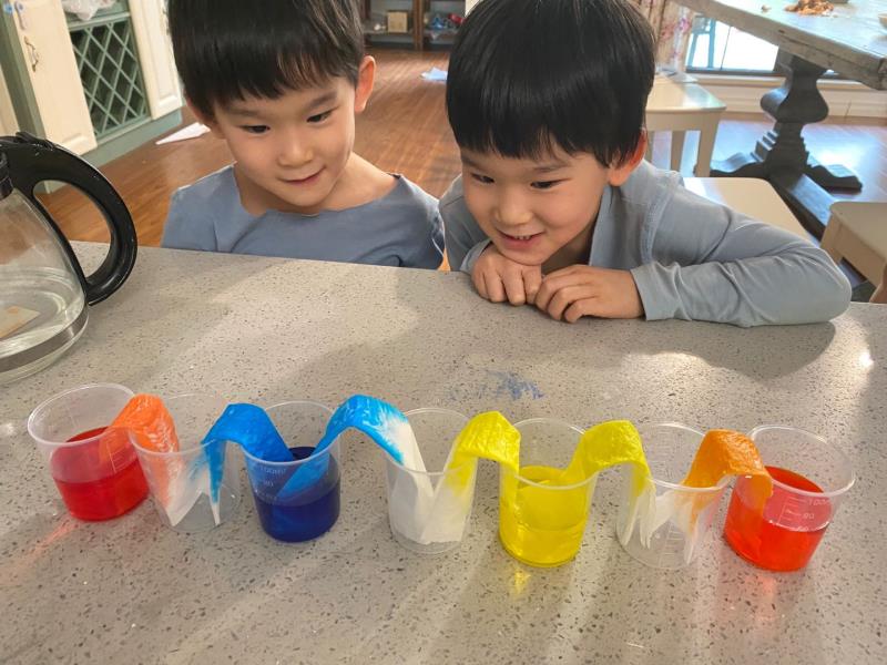 SIBSBeijing's tweet photo. KG3 students did a fun and interesting activity called The Traveling Water! There's no better way for little scientists to learn about color mixing and movement than by watching water “travel” from cup to another.  #internationlschool #science #color #SIBSBeijing https://t.co/MTpUcDmVY8