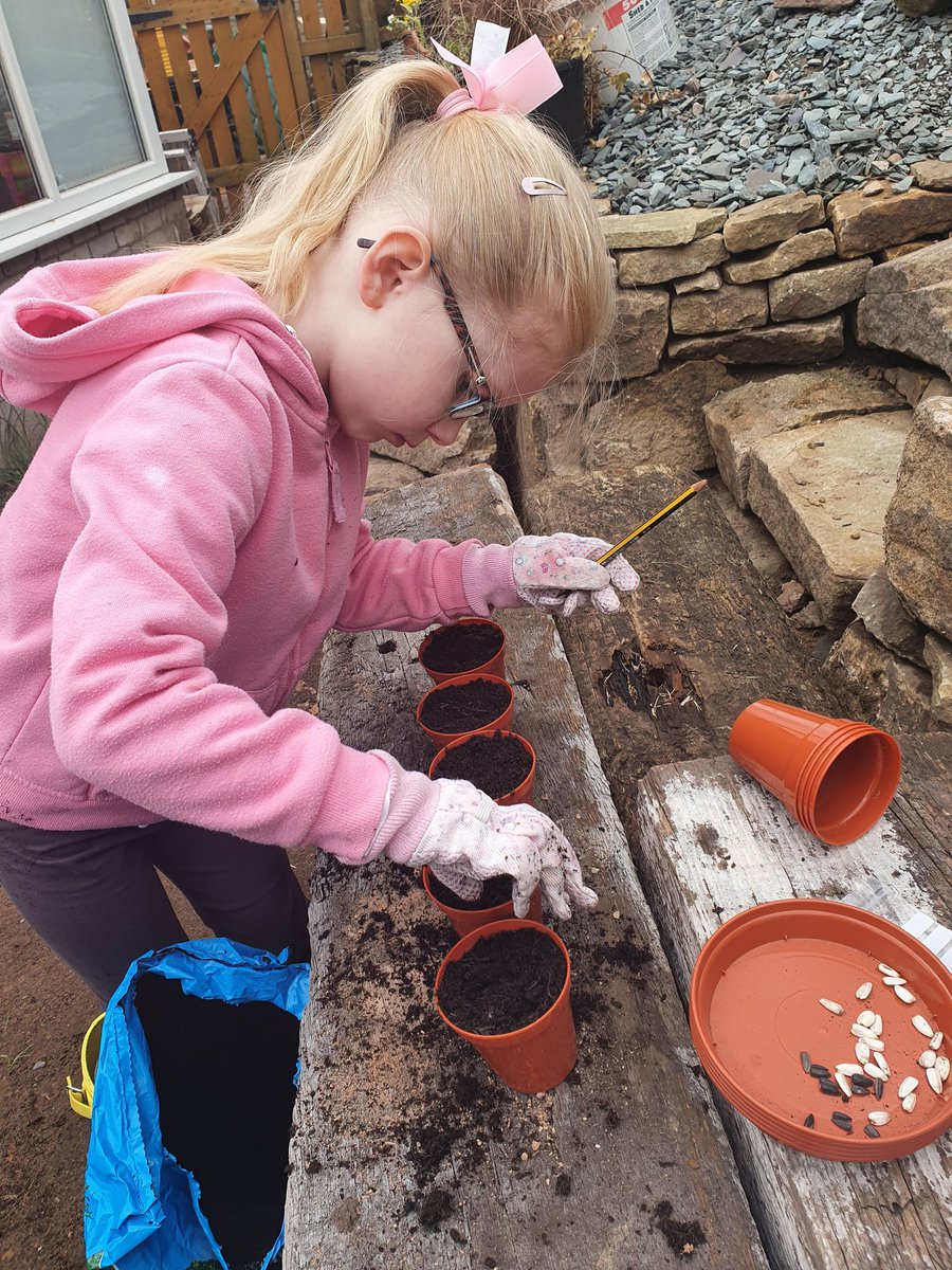 We planted our sunflowers this weekend 🌱🌻
<a href="/georges_mossley/">St. George's CE Primary, Mossley</a> <a href="/SportsStGeorges/">Sports St George's</a>